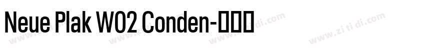 Neue Plak W02 Conden字体转换